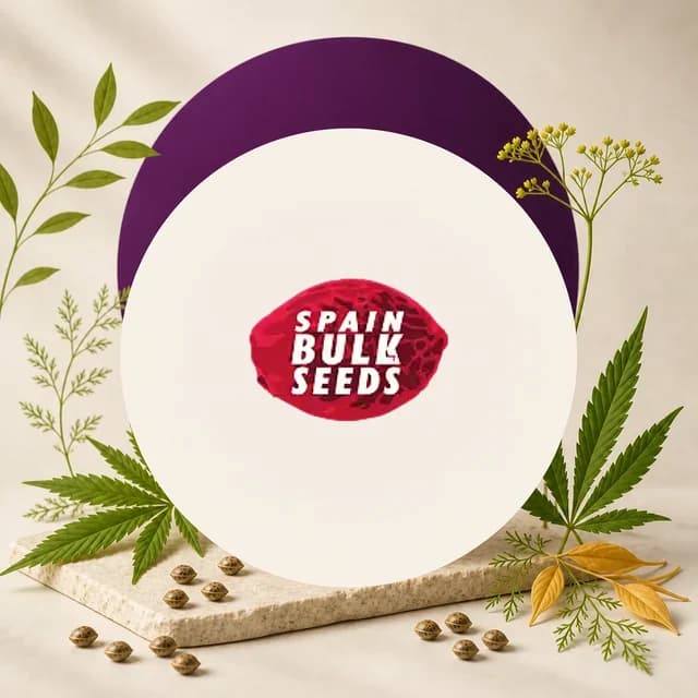 Logotipo rojo de Spain Bulk Seeds en un círculo claro, con semillas y hojas de cannabis alrededor y un arco morado detrás.